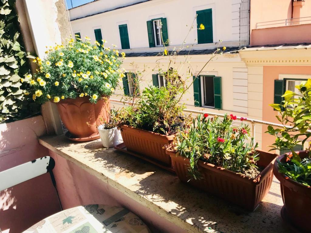 Green Guesthouse Rome Buitenkant foto