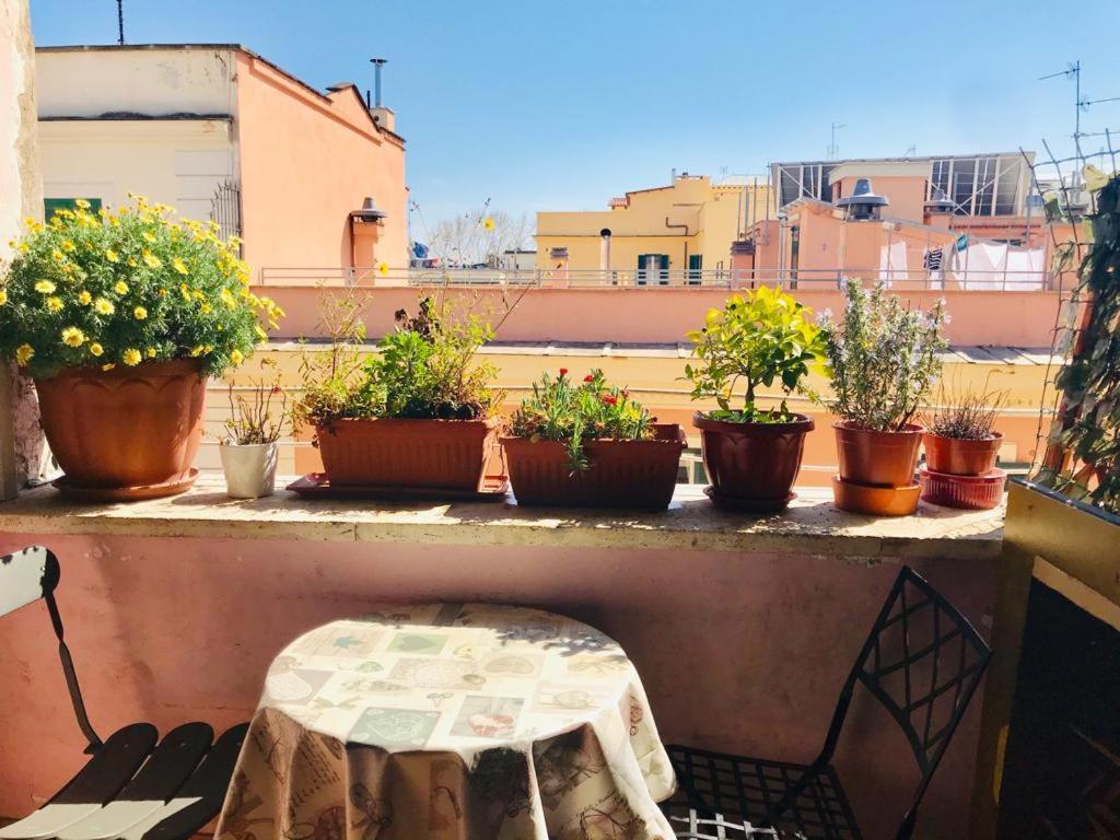 Green Guesthouse Rome Buitenkant foto