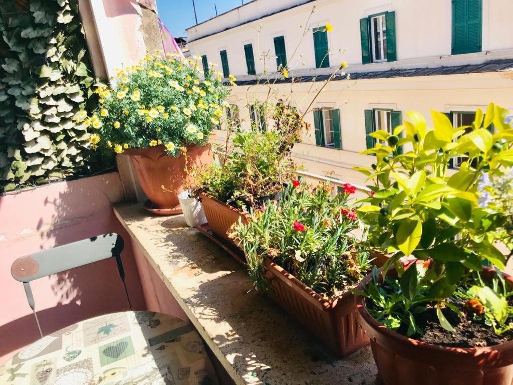 Green Guesthouse Rome Buitenkant foto