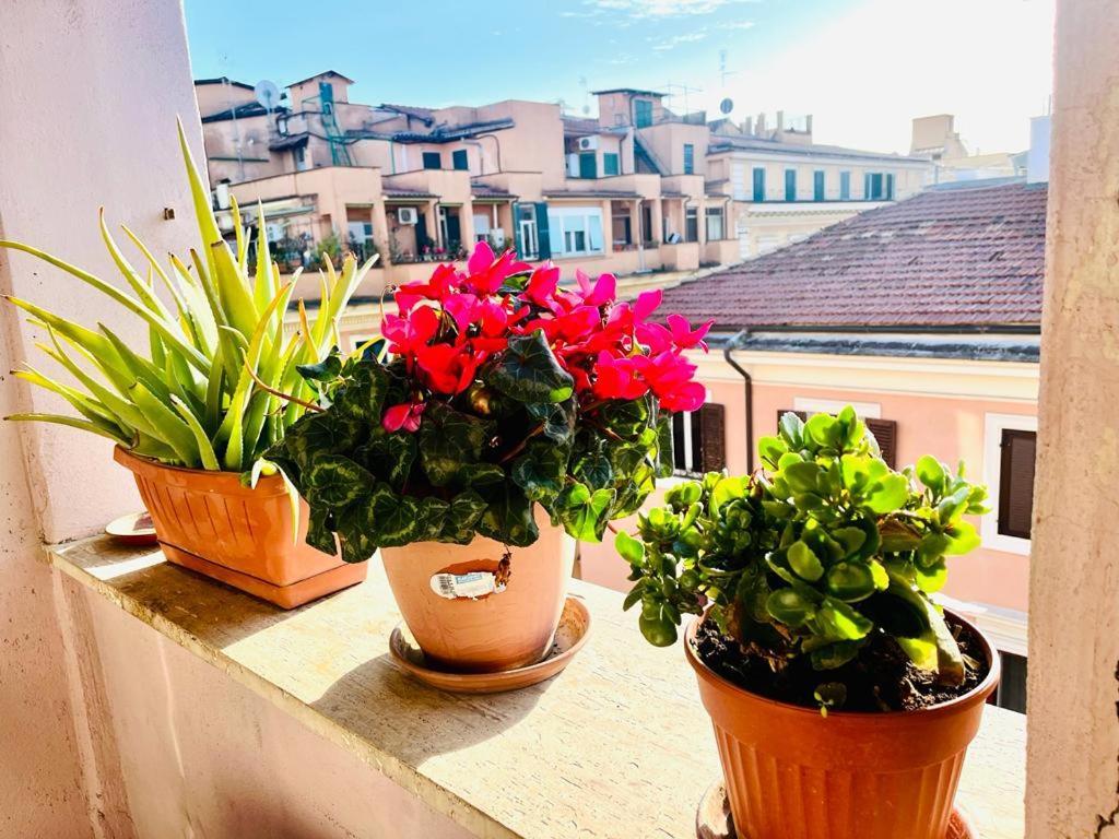 Green Guesthouse Rome Buitenkant foto
