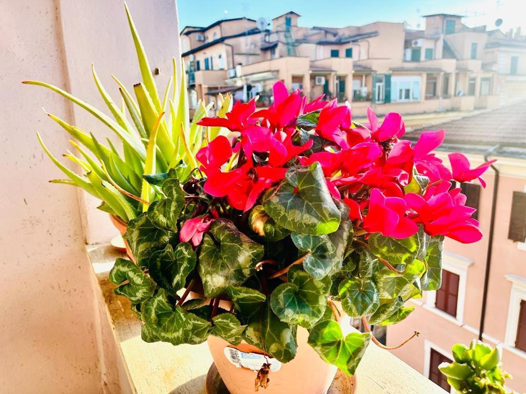 Green Guesthouse Rome Buitenkant foto